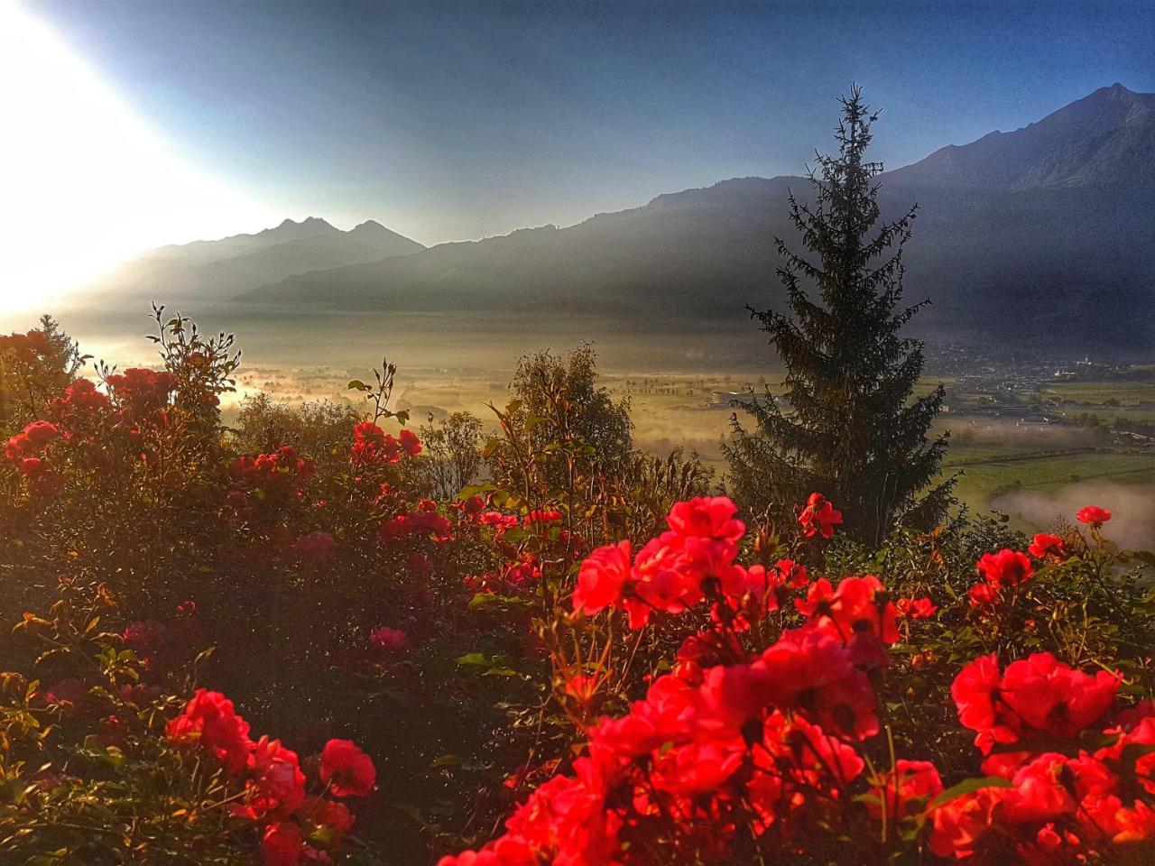 Chalet Juwel Villa Piesendorf Dış mekan fotoğraf